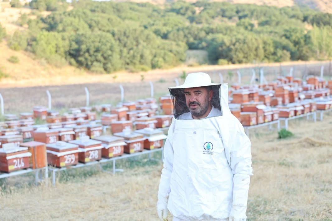 Pursaklar Abadan Bal Ormanı'nda Hasat Zamanı